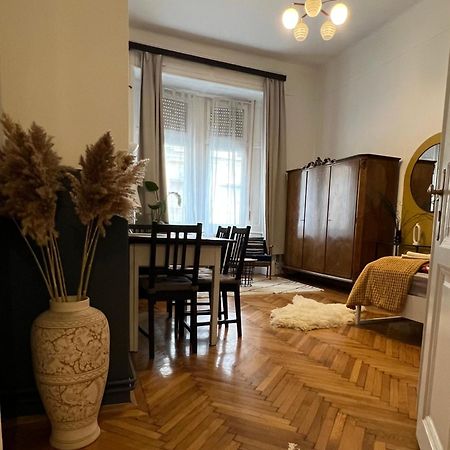 Rustic Apartment In Downtown Of 布达佩斯 外观 照片
