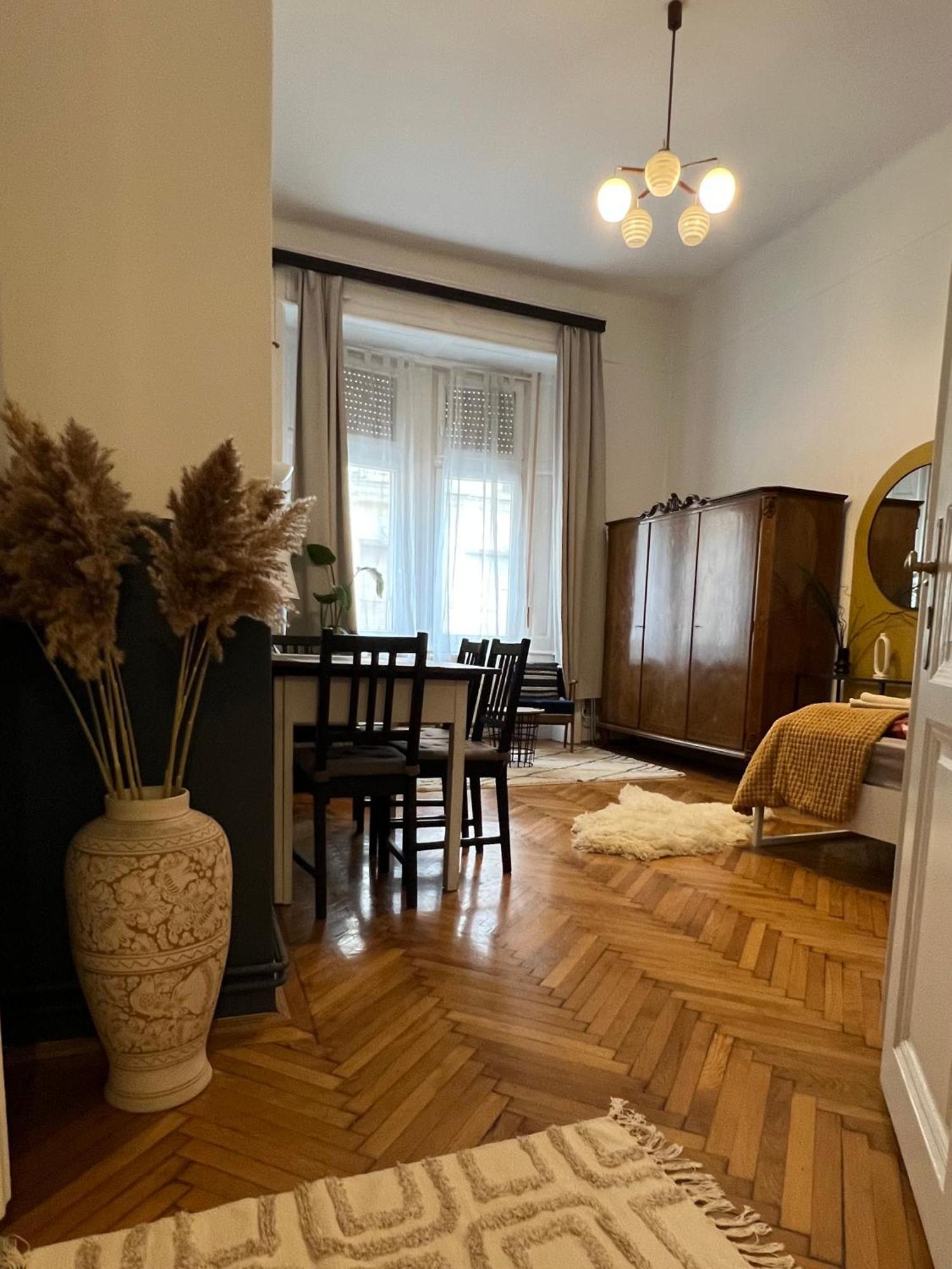 Rustic Apartment In Downtown Of 布达佩斯 外观 照片