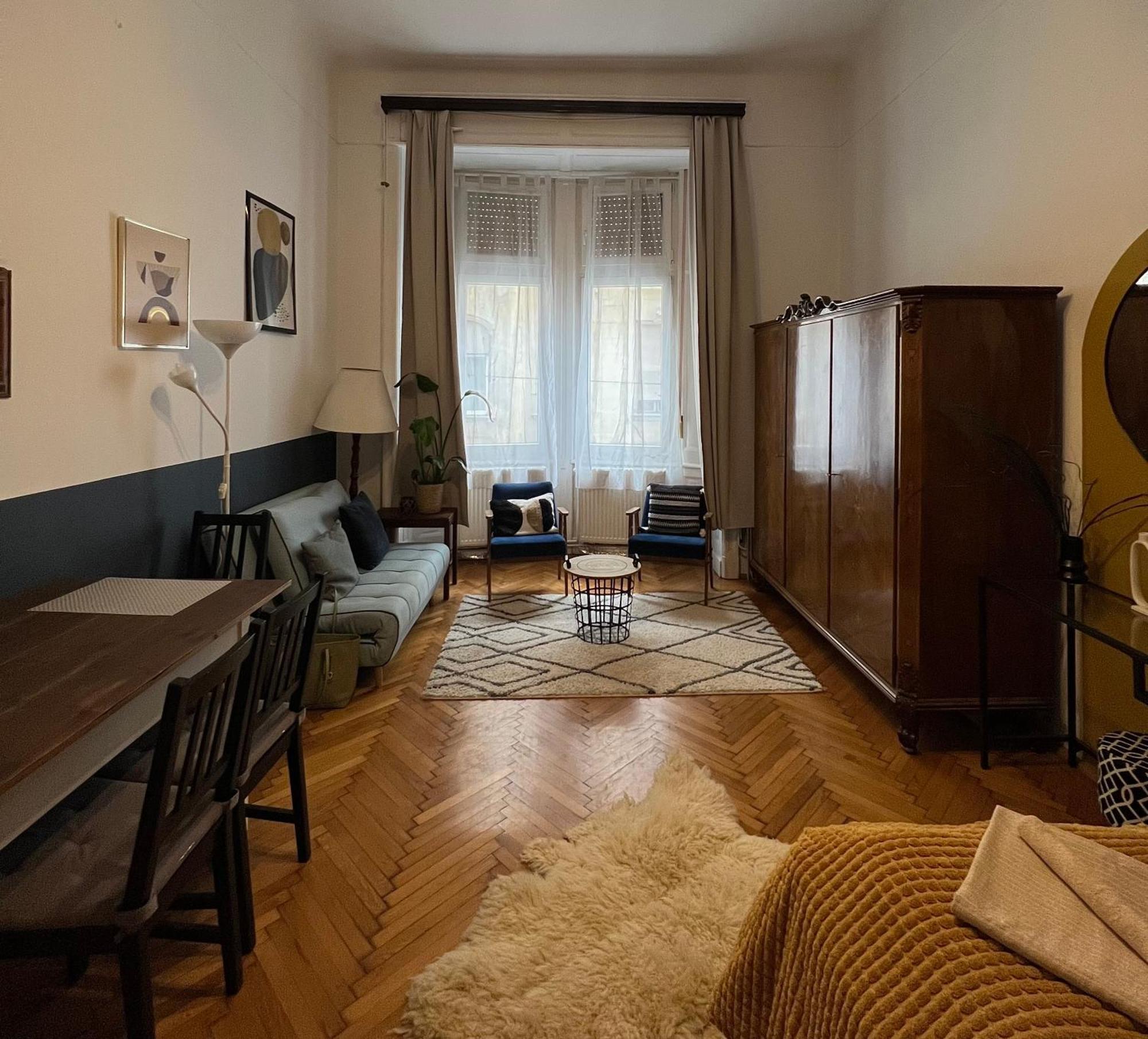 Rustic Apartment In Downtown Of 布达佩斯 外观 照片